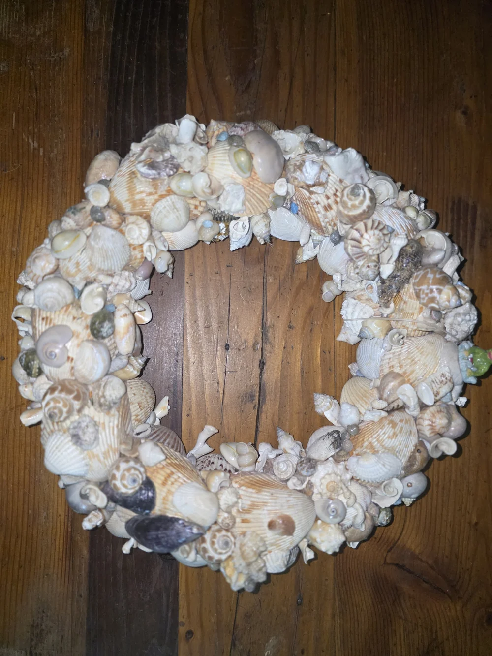 Seashell  Wreath in Natural Multi-Color